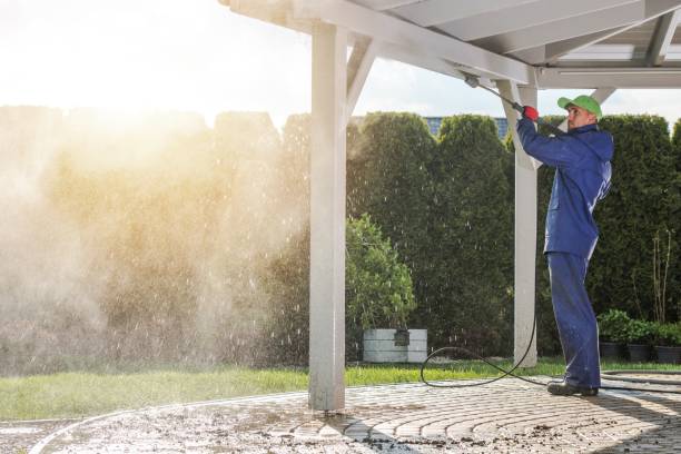 Best Roof Cleaning and Mildew Removal in Howard, WI